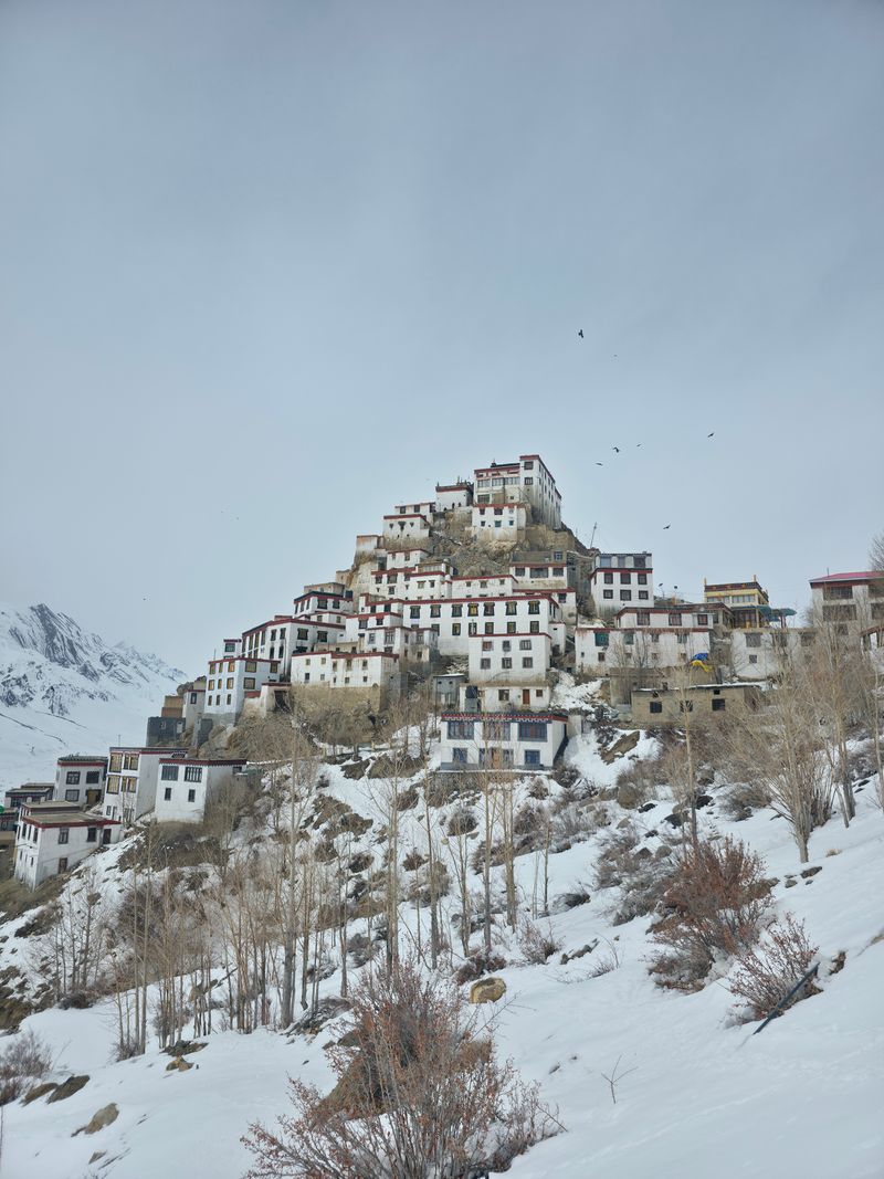 Key Monastery, Spiti Valley